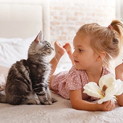 어린 아이들과 아기 고양이 함께 지내기